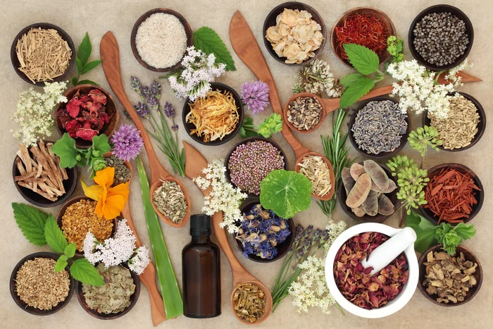 Is the information in The Lost Book of Herbal Remedies scientifically backed?