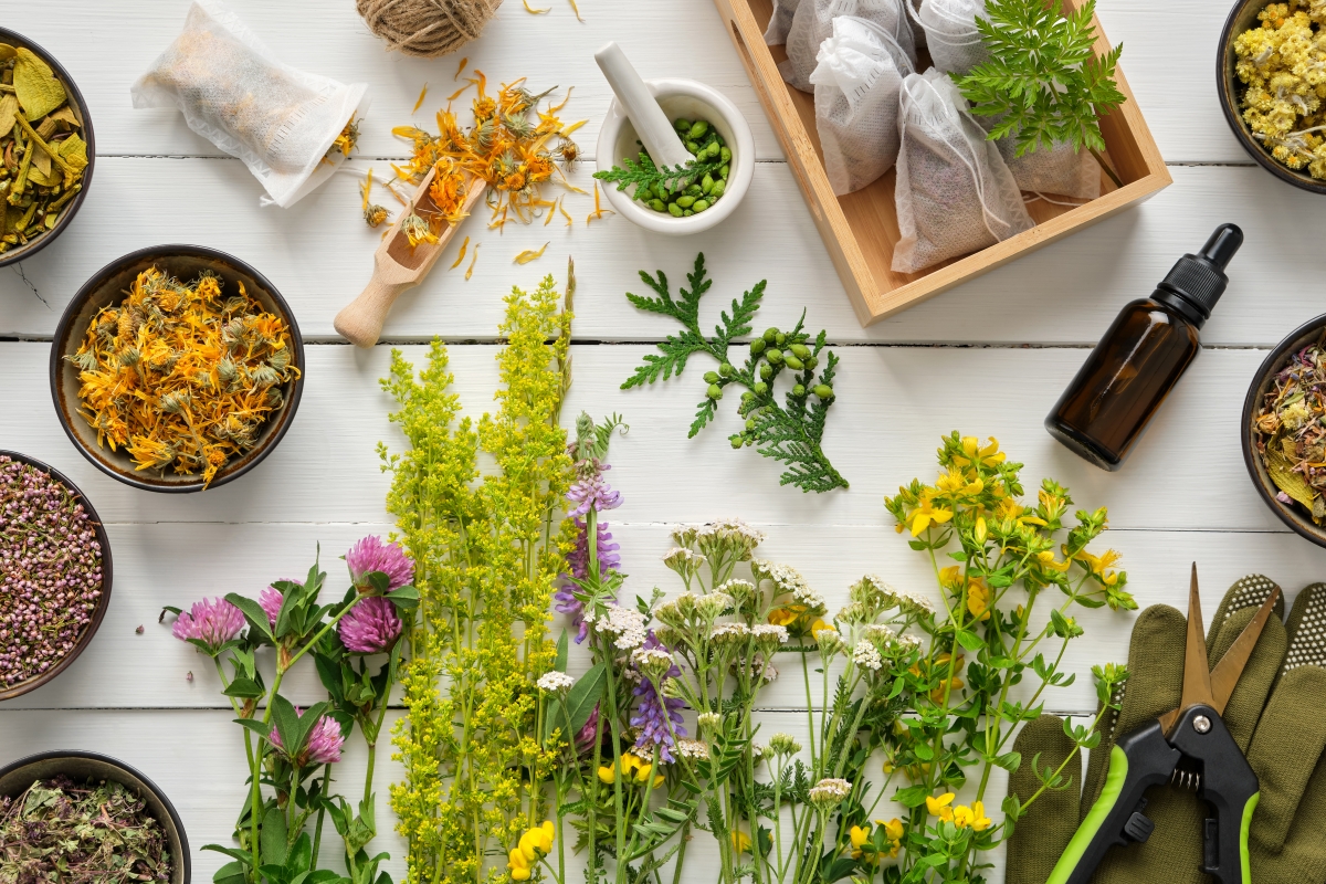 How to Source Ingredients for Remedies from The Lost Book of Herbal Remedies