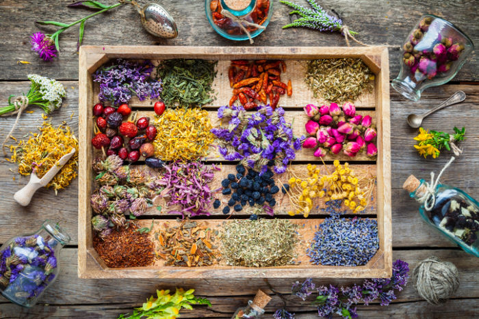 Exploring Herbal Medicine for Specific Conditions with The Lost Book of Herbal Remedies