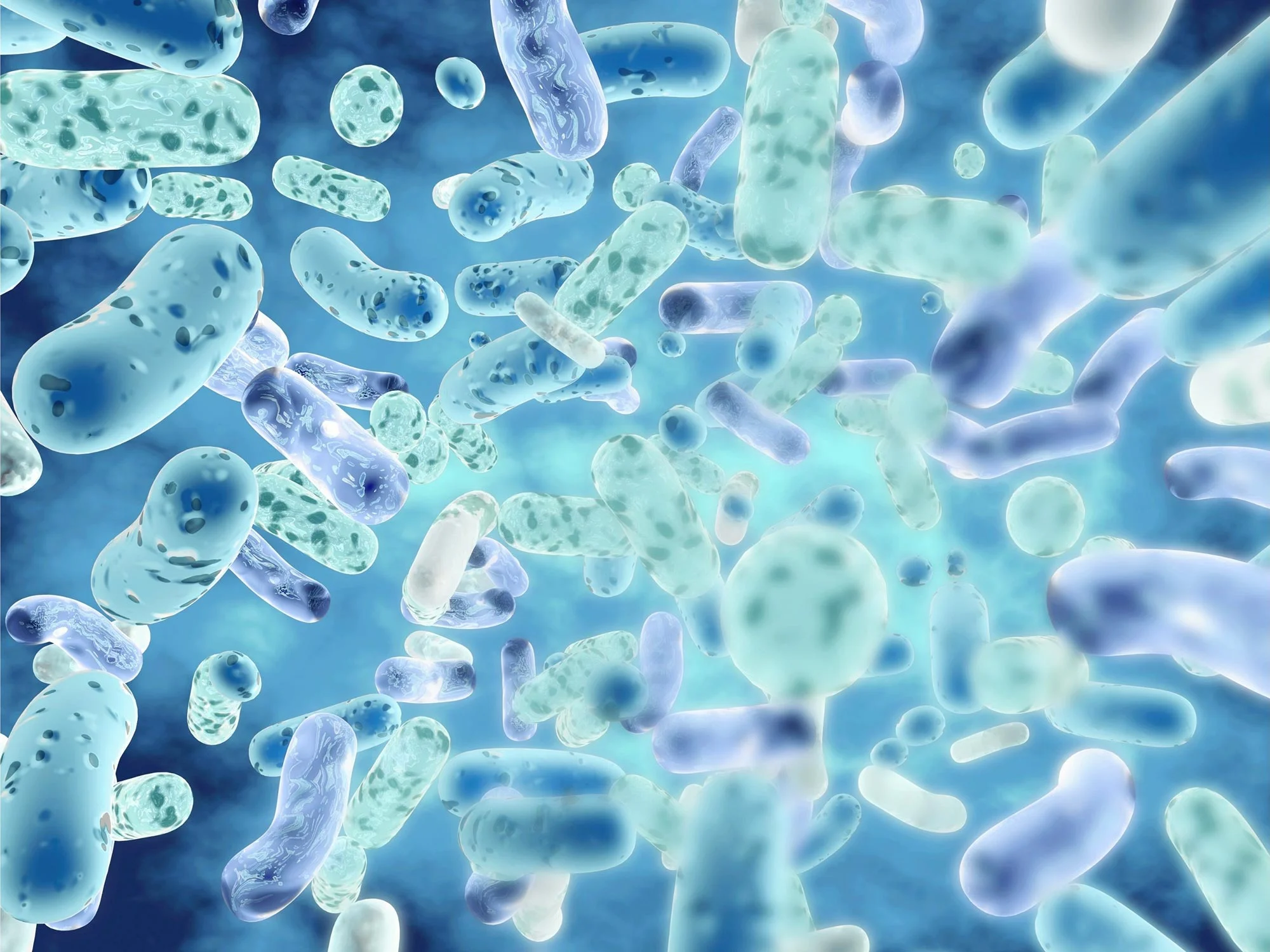 How long does it take to see results from taking probiotics?